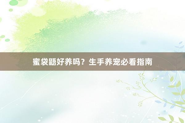 蜜袋鼯好养吗？生手养宠必看指南